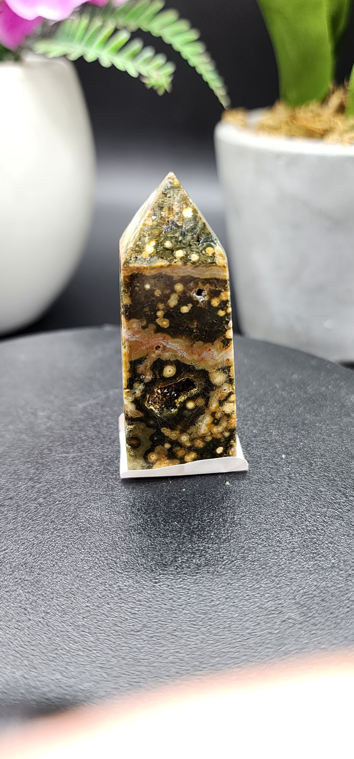 8th Vein Ocean Jasper Point