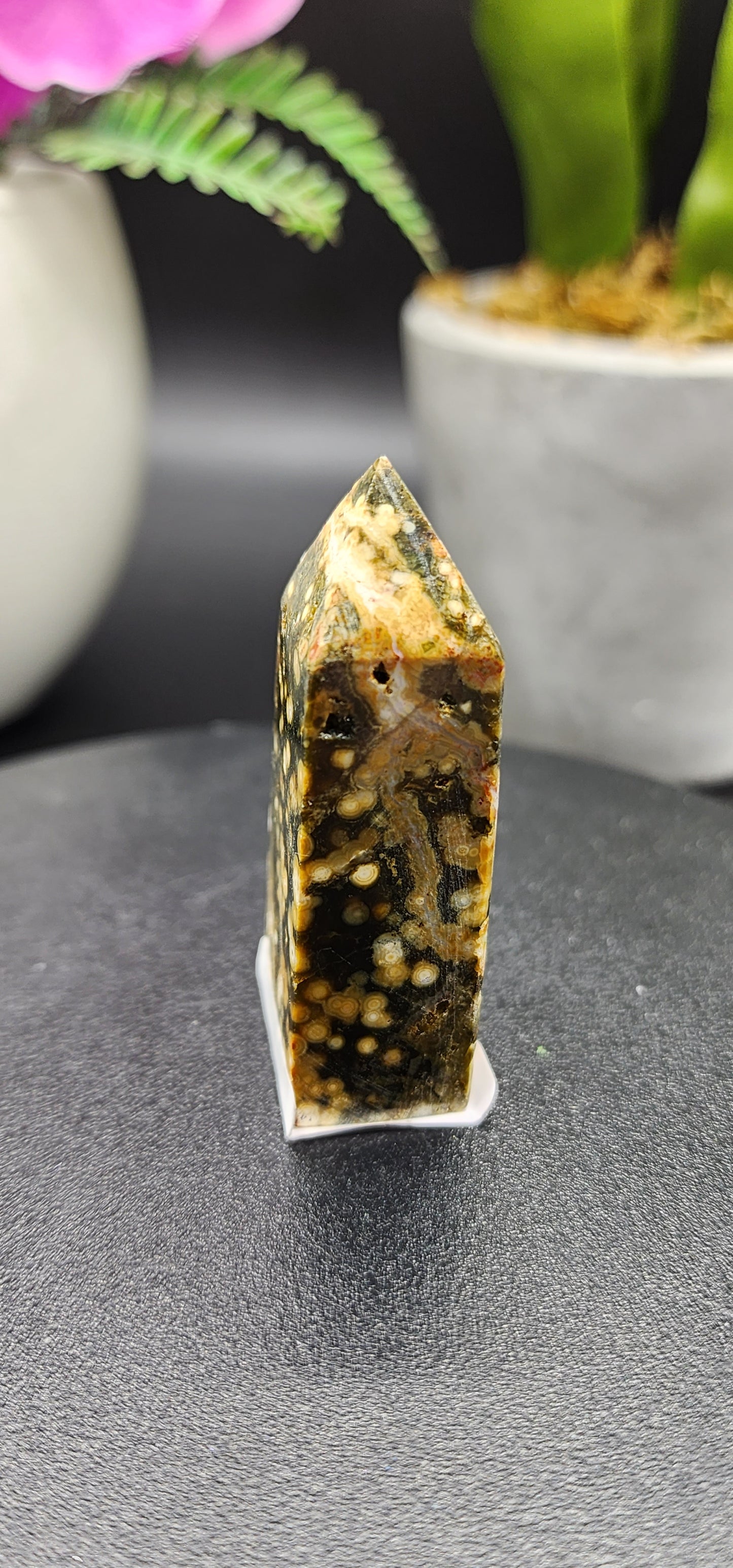 8th Vein Ocean Jasper Point