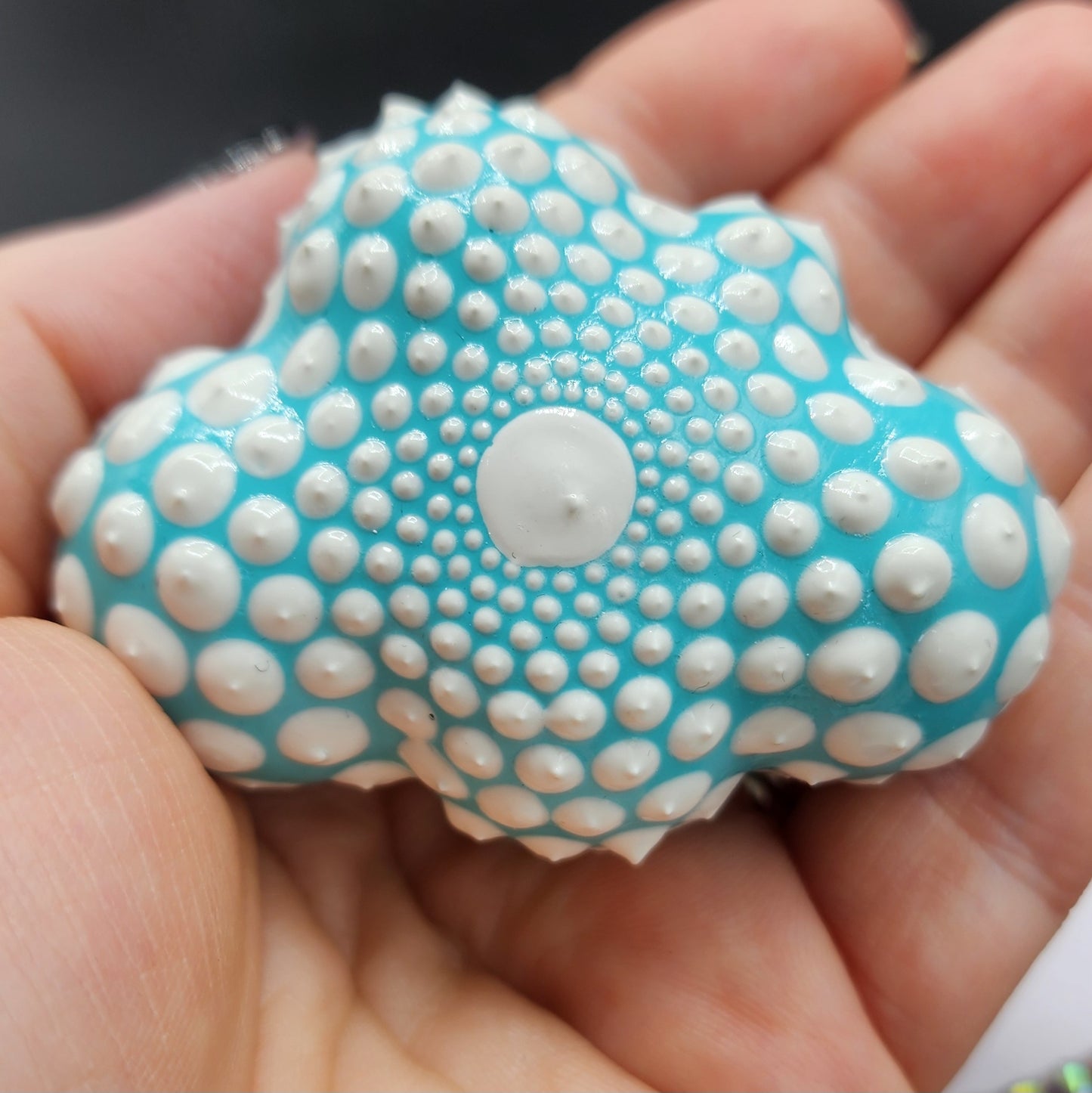 Celina Miller Art - Teal and White Mandala Cloud Palmstone