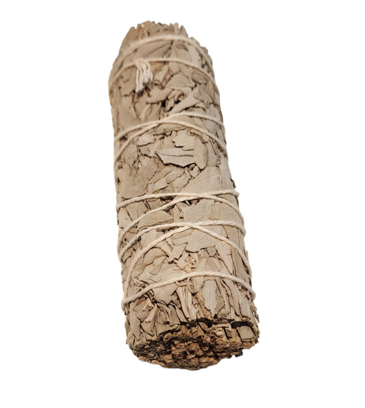 Medium Sage Bundle