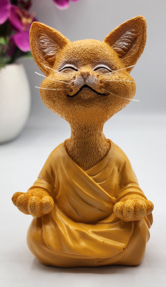 Meditating Cat